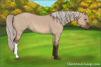 Horse Color:Silver Bay Dun 