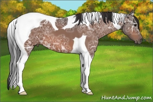 Horse Color:Bay Ice Tobiano 