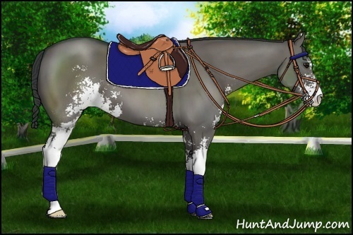 Horse Color: Grullo Sabino 