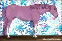 Horse Color:Watercolor Chestnut 