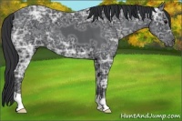 Horse Color:Black Ice 