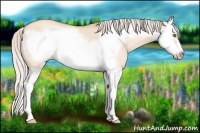Horse Color:Silver Amber Champagne Dun Splash Frame 