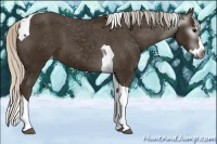 Horse Color:Gray Silver Smoky Black Splash Tobiano Varnish 