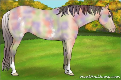 Horse Color: Nacre White Spotted Amber Champagne Dun 