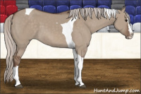 Horse Color:Silver Grullo Splash Tobiano 