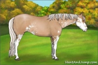 Horse Color:Silver Black Pearl Sabino 