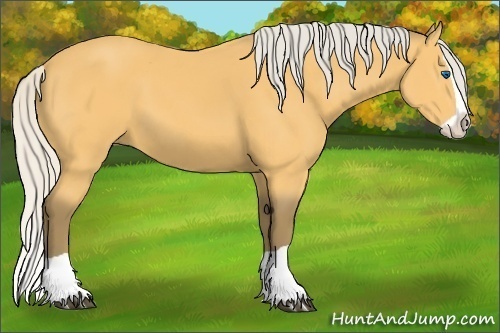 Horse Color:Silver Buckskin Splash 