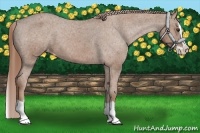 Horse Color:Chestnut Splash Varnish 