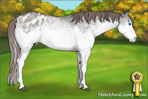 Horse Color: White Spotted Brown Dun Splash Varnish 