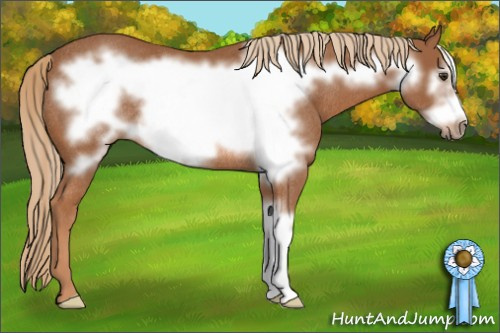Horse Color: Chestnut Frame Rabicano 