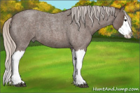 Horse Color:Silver Blue Roan Splash