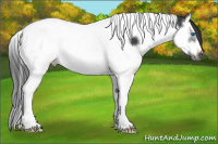 Horse Color:Brown Splash Tobiano Frame Rabicano 