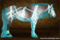 Horse Color:Gray Thunderstruck Bay 