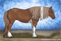 Horse Color:Chestnut Tobiano 