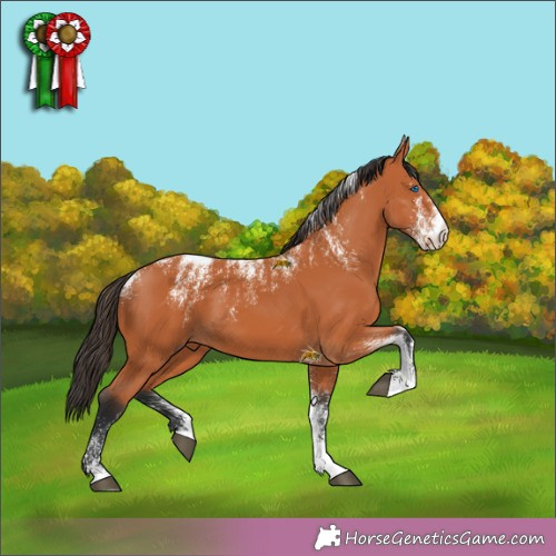 Horse Color:Powder White Bay Merle 