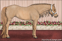 Horse Color:Red Roan 