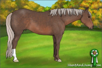 Horse Color:Silver Brown 