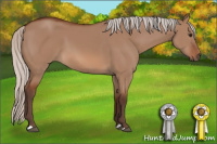 Horse Color:Silver Bay Dun 