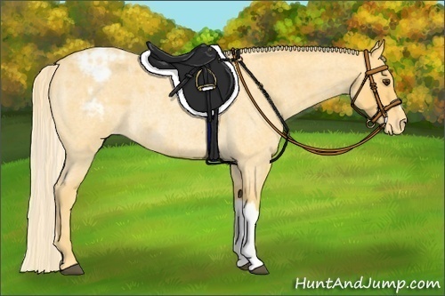 Horse Color:Palomino Roan Blanket Rabicano 