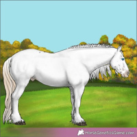 Horse Color:White Spotted Liver Chestnut Splash 