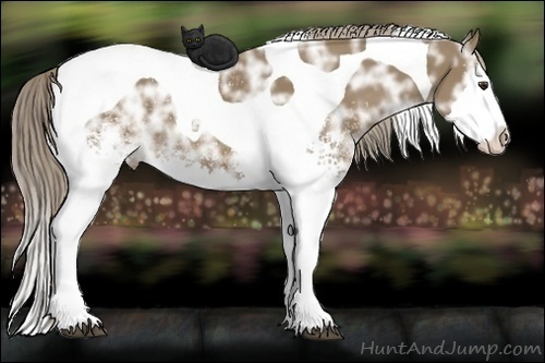 Horse Color: White Spotted Chocolate Palomino Ice Splash Tobiano 