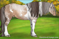 Horse Color:White Spotted Sable Champagne Tobiano Varnish 