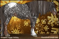 Horse Color:Liver Chestnut Appaloosa 