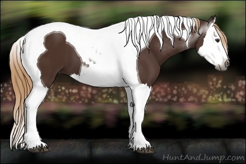 Horse Color: Gray Chestnut Splash Tobiano 