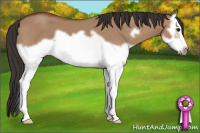 Horse Color:Bay Dun Splash Frame 