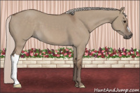 Horse Color:Silver Grullo 