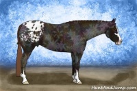 Horse Color:Midnight Chestnut Ice Sabino Appaloosa