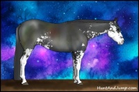 Horse Color:Black Sabino 