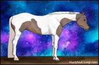 Horse Color:Silver Black Tobiano 
