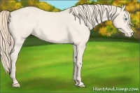 Horse Color:Perlino Varnish 