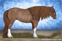 Horse Color:Chestnut Rabicano 