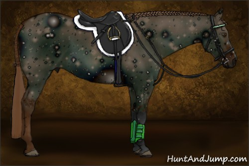 Horse Color: ERROR: UNKNOWN ANOMALY