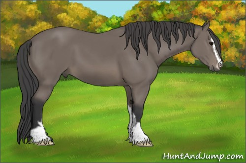 Horse Color: Black Sabino 
