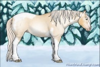 Horse Color:Gray Silver Amber Cream Champagne Roan Dun Splash Tobiano Frame Appaloosa Rabicano 