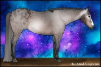 Horse Color:Gray Bay Blanket 