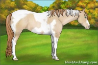 Horse Color:Smoky Black Pearl Tobiano Frame 
