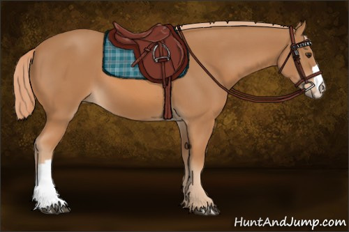 Horse Color: Chestnut 