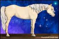 Horse Color:Silver Amber Cream Champagne Dun 