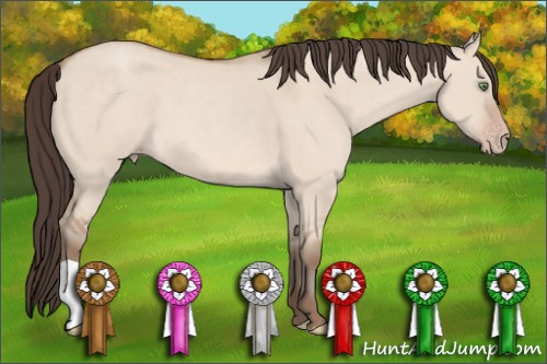 Horse Color: Sable Champagne Dun 