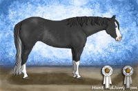 Horse Color:Brown Splash Rabicano