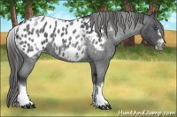 Horse Color:White Spotted Blue Roan Splash Frame Blanket 