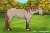 Horse Color:Liver Red Dun 