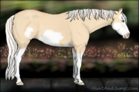 Horse Color:Silver Sable Cream Champagne Dun Splash Frame