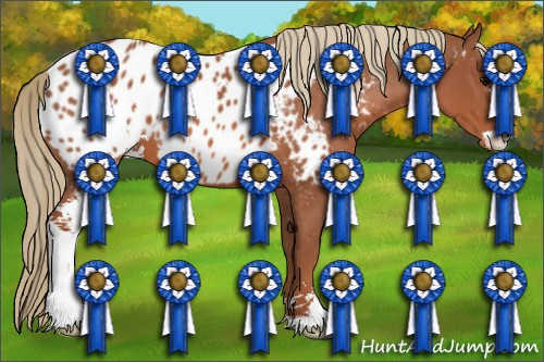 Horse Color: Liver Chestnut Sabino Blanket 