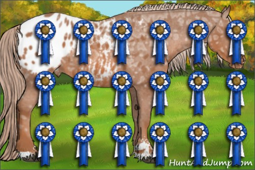 Horse Color: Liver Chestnut Ice Sabino Blanket 