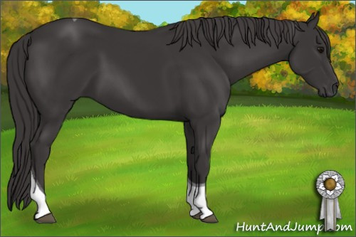 Horse Color: Smoky Black Tobiano 